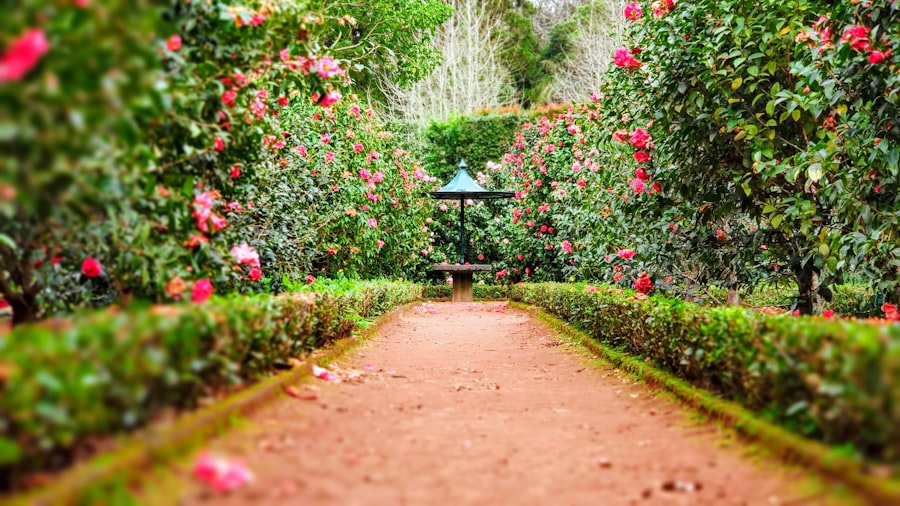 Garden path at dusk