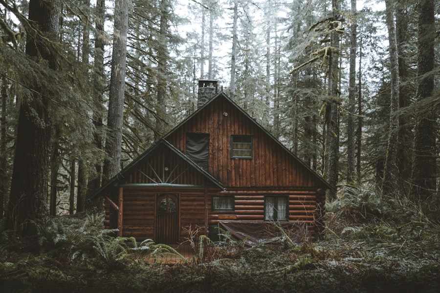 Forest Suite interior with hand-hewn timber beams and forest view